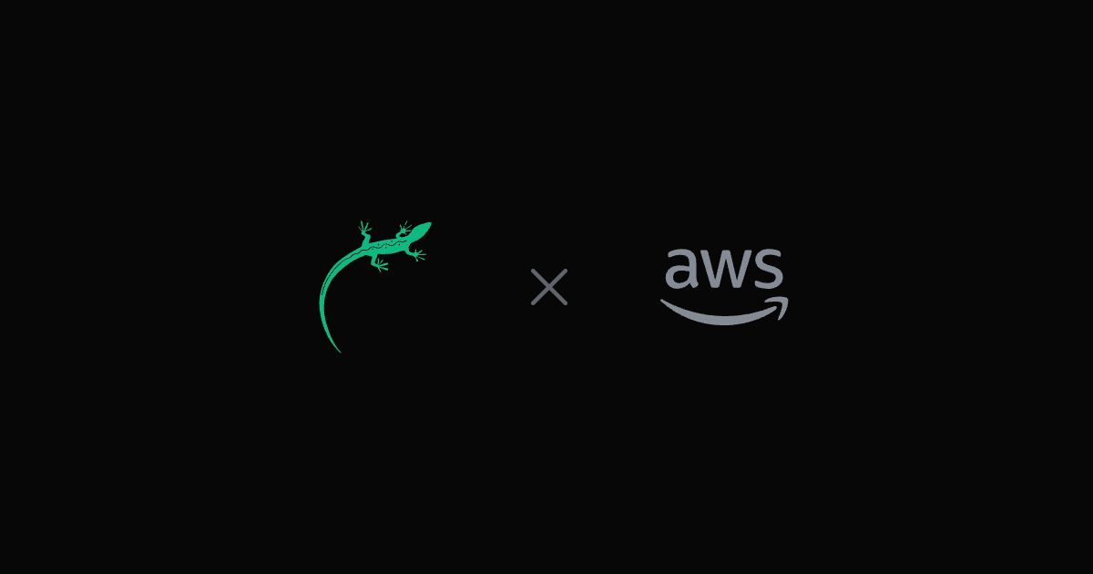 Lizard vs. AWS – das Lizard-Logo neben dem AWS-Logo