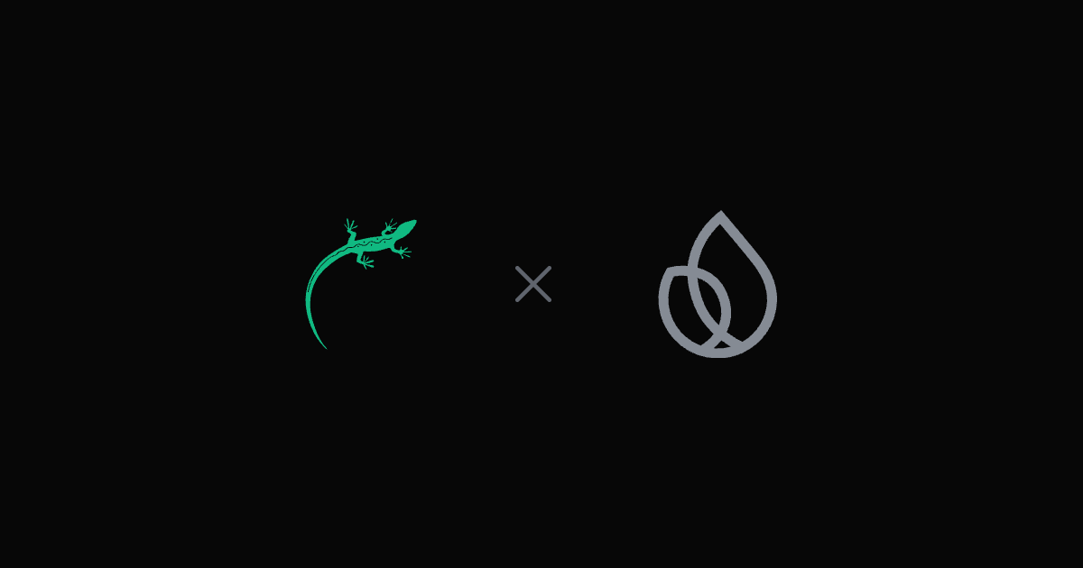 Lizard vs. Firebase – das Lizard-Logo neben dem Firebase-Logo