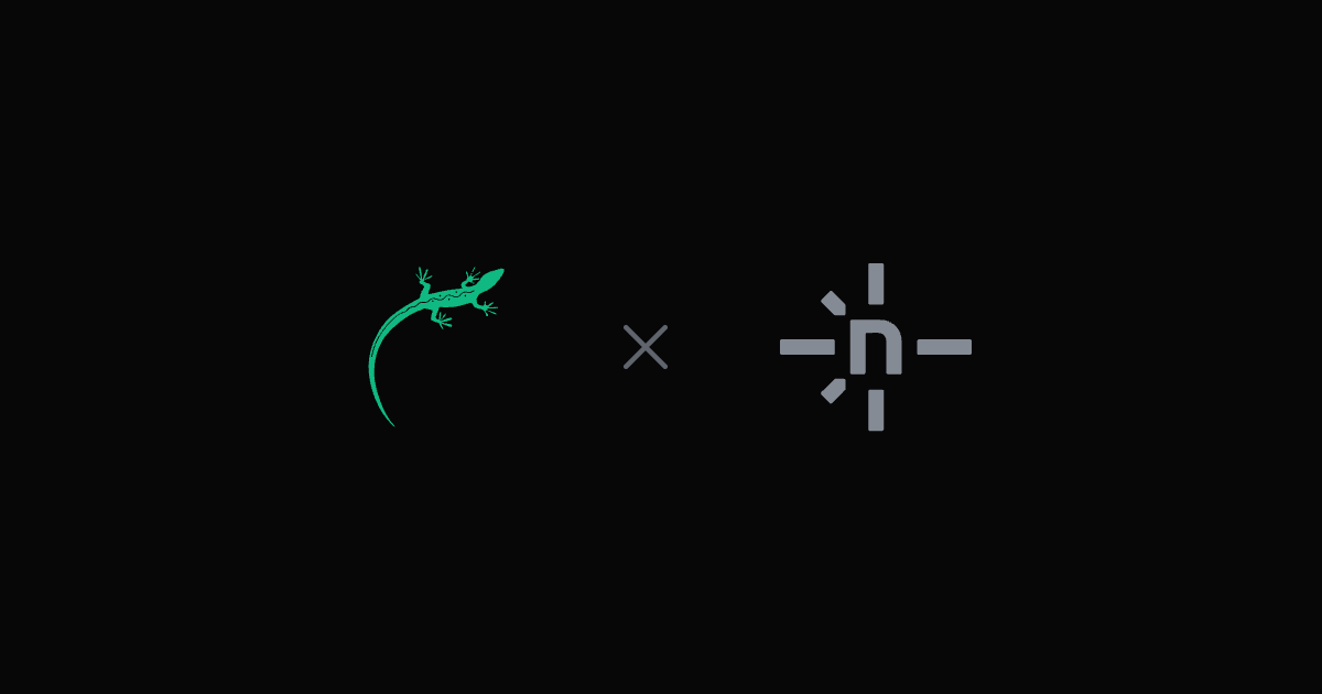 Lizard vs. Netlify – das Lizard-Logo neben dem Netlify-Logo